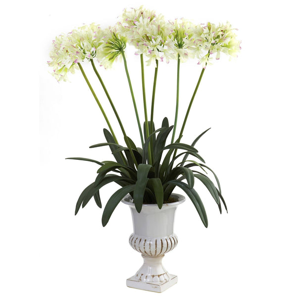 African Lily w/Urn
