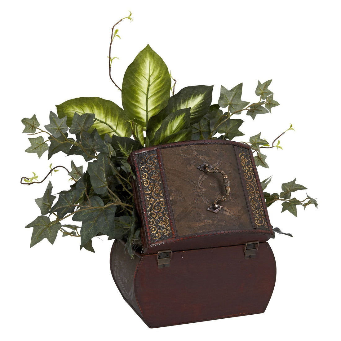 dieffenbachia and english ivy African Violet, Dieffenbachia & Ivy w/Chest Silk Plant