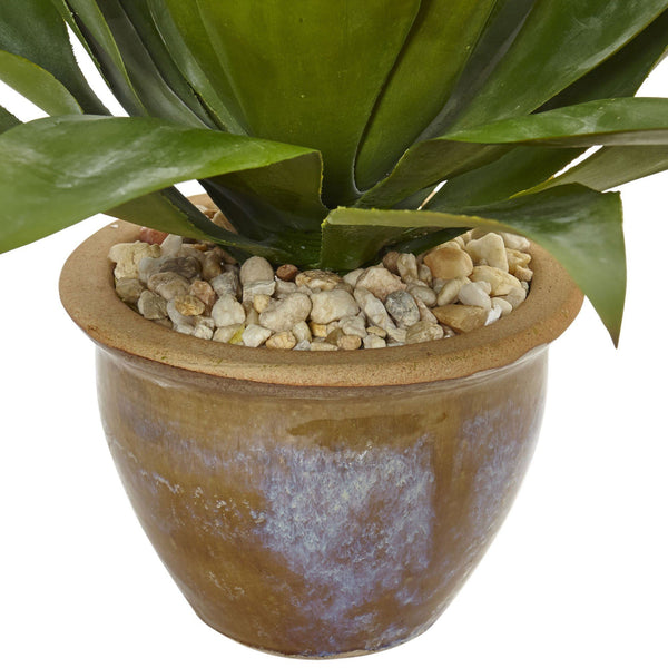 Agave in Glazed Clay Pot