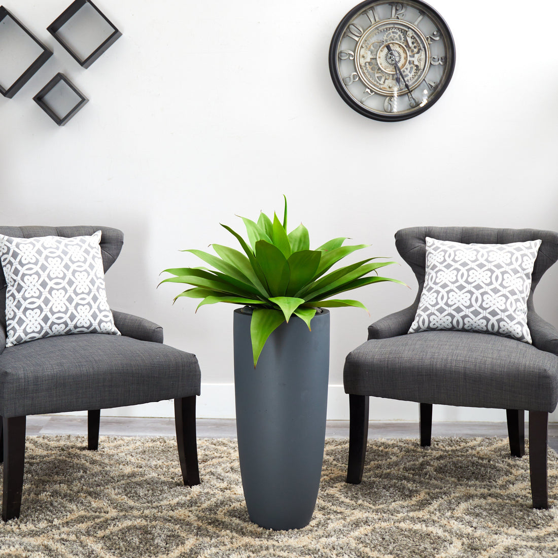 gray indoor planter Agave in Gray Cylinder Planter