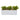 Agave Succulent in Rectangular Planter