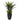 Agave w/Black Planter