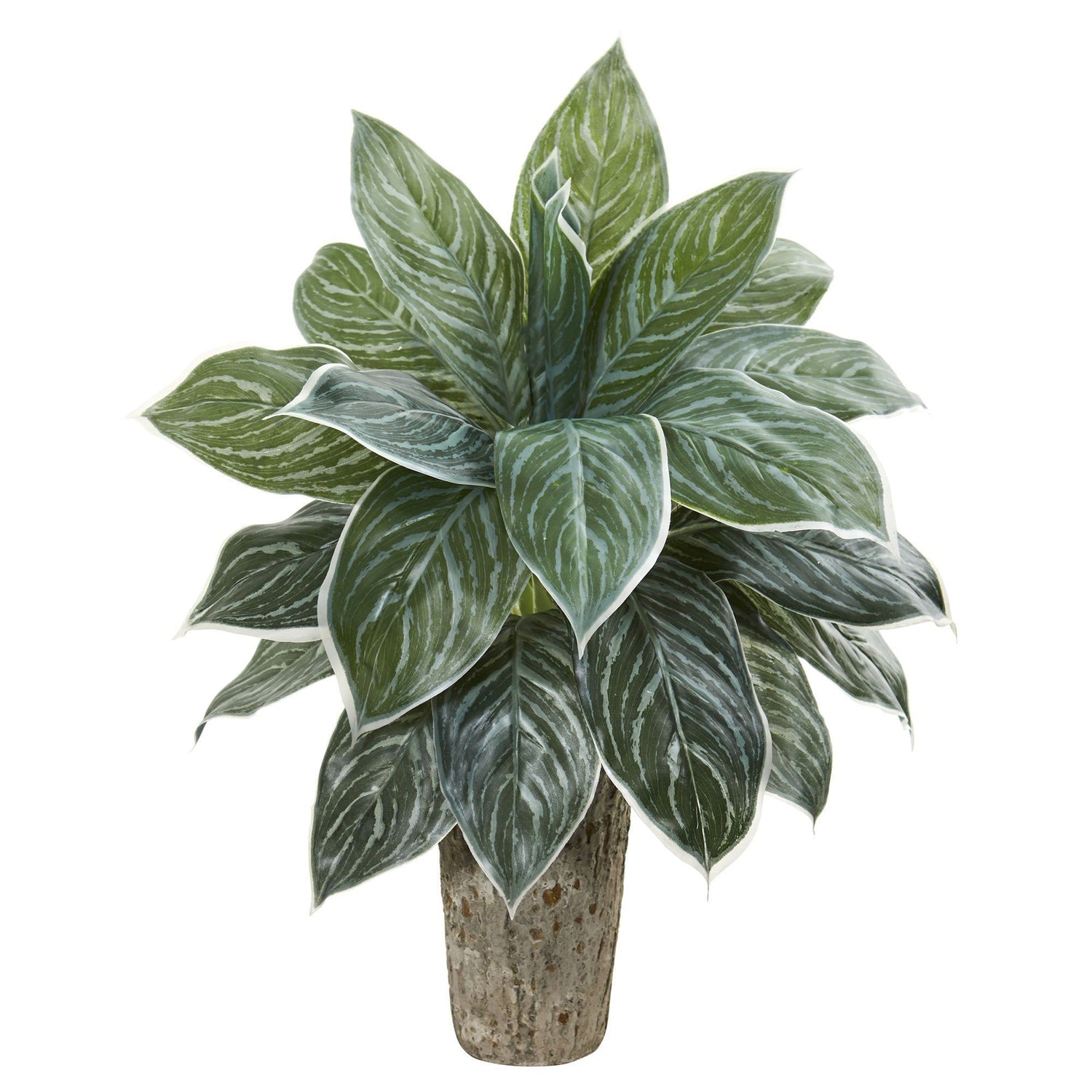 Aglonema Artificial Plant in Weathered Oak Vase (Real Touch)