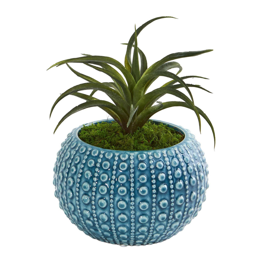 artificial plant in blue pot Air Plant Artificial Succulent in Blue Vase (Set of 2)