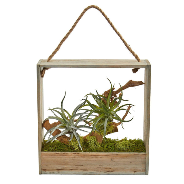 Air Plant Artificial Succulent in Decorative Hanging Frame