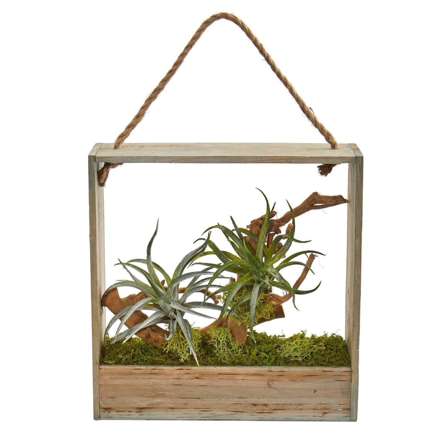 Air Plant Artificial Succulent in Decorative Hanging Frame