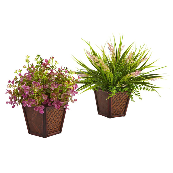 Assorted Grass with Planter (Set of 2)