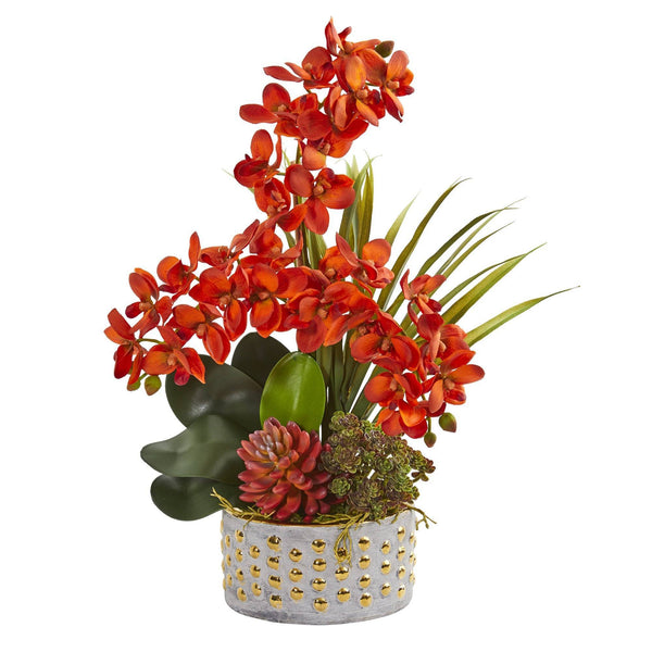 Autumn Phalaenopsis Orchid and Succulent Artificial Arrangement