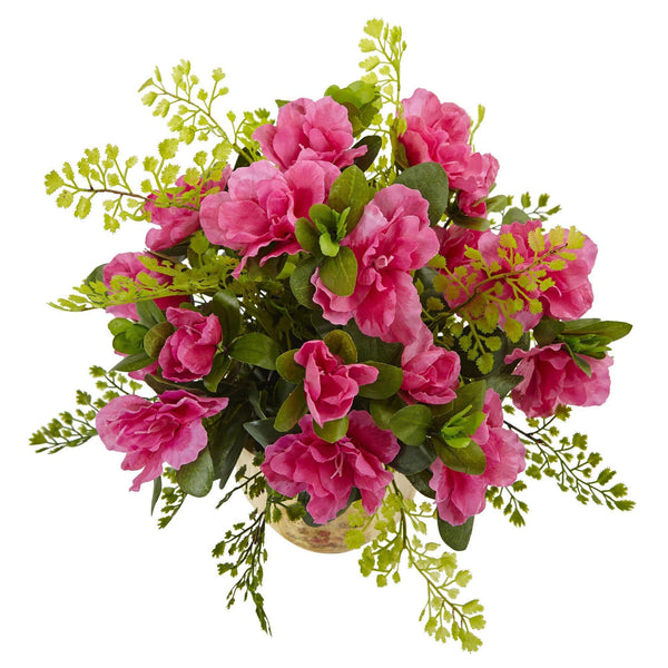 Azalea and Maiden Hair with Planter
