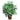 Bamboo Palm w/Wood Wicker Basket Silk Plant