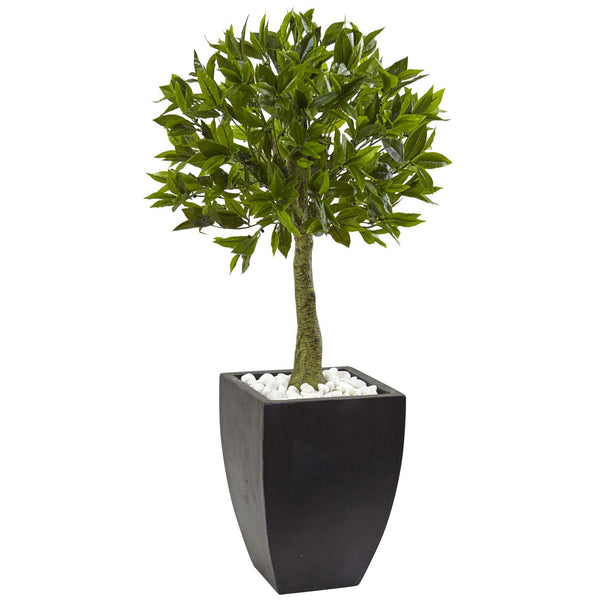 Bay Leaf Topiary with Black Wash Planter UV Resistant (Indoor/Outdoor)