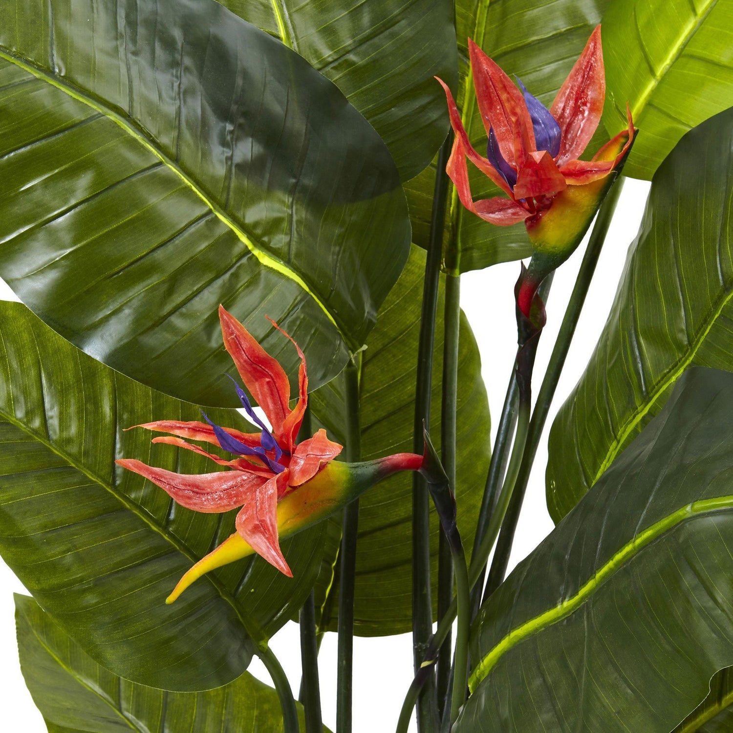 Bird of Paradise Plant (Real Touch)