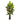 58" Bird of Paradise Plant (Real Touch)