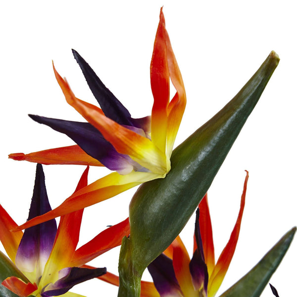 Birds of Paradise in Vase