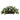 Bougainvillea Artificial Plant in Decorative Planter