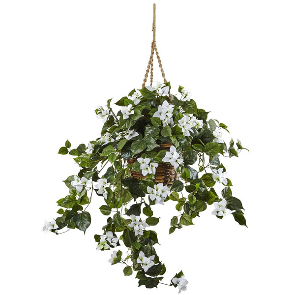 Bougainvillea Hanging Basket