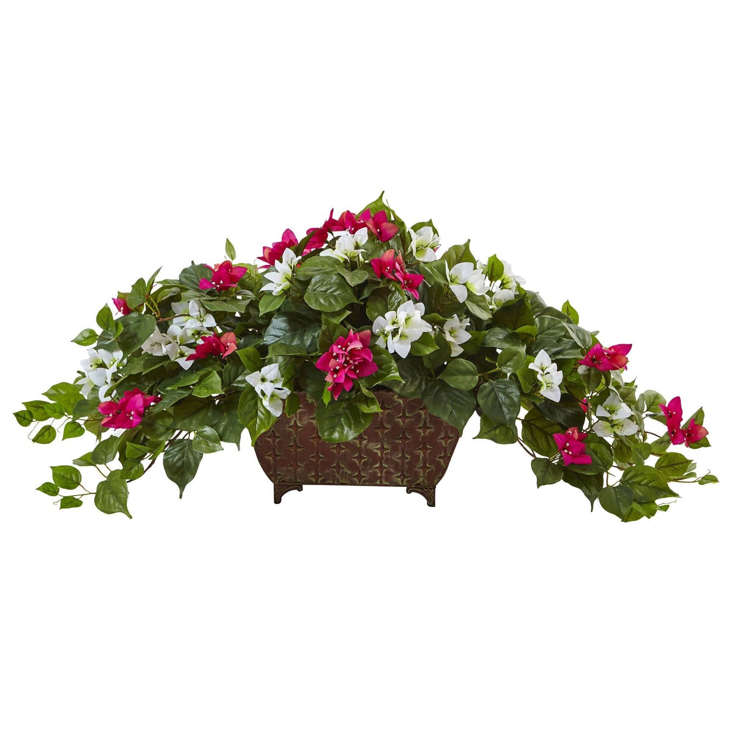 Bougainvillea in Metal Planter