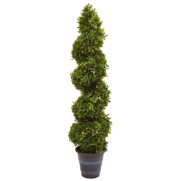 Boxwood Spiral Topiary with Planter (Indoor/Outdoor)