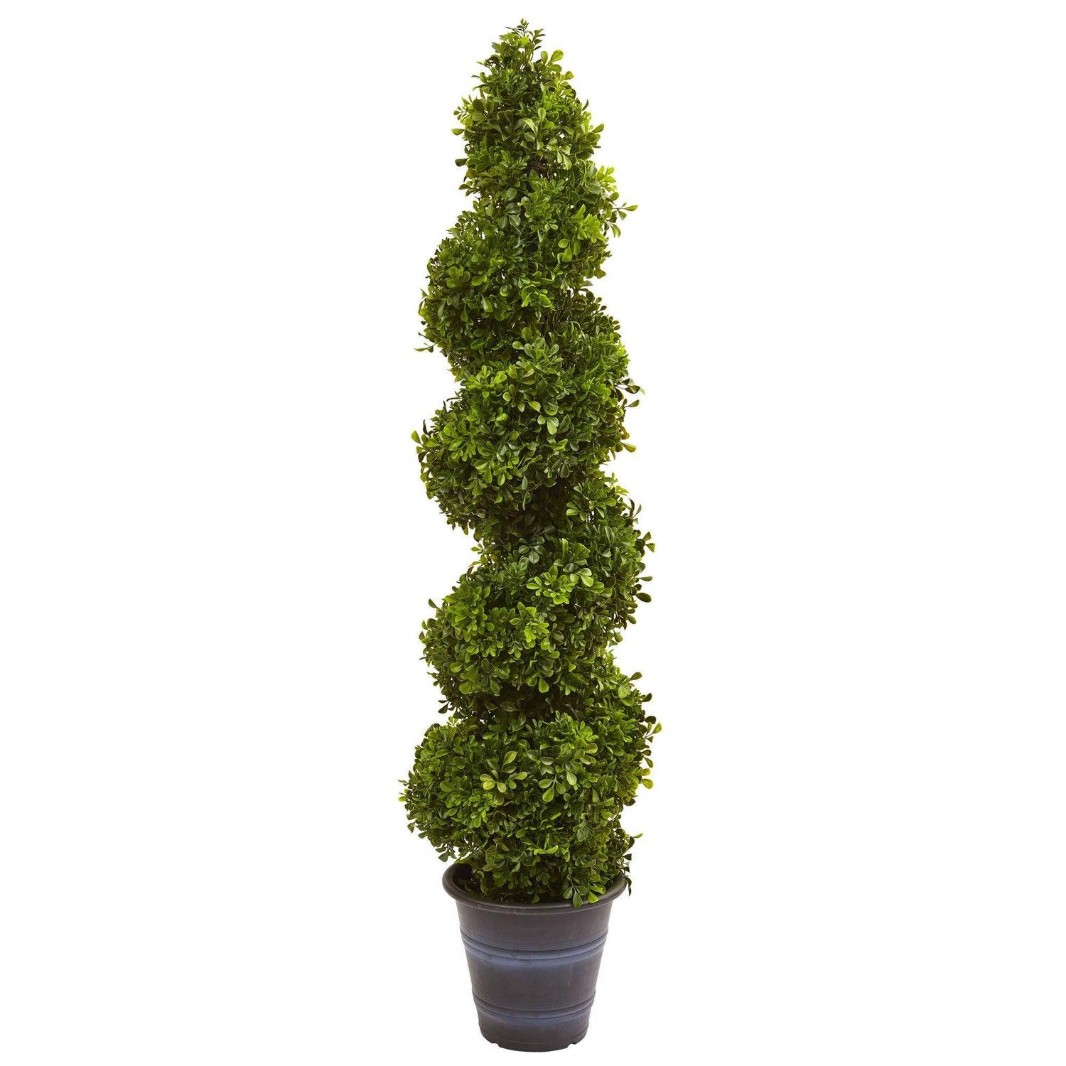 Boxwood Spiral Topiary with Planter (Indoor/Outdoor)