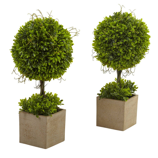 Boxwood Topiary w/Planter (Set of 2)