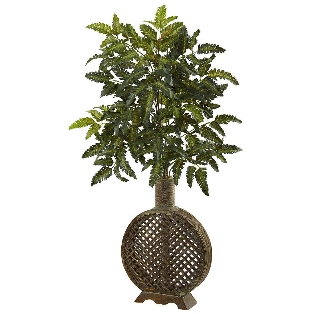bracke planter Bracken Fern with Open Weave Planter