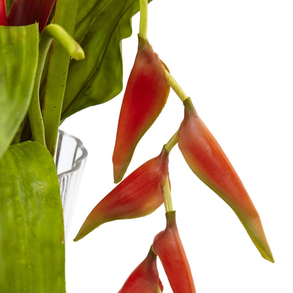 Bromeliad and Heliconia in Vase