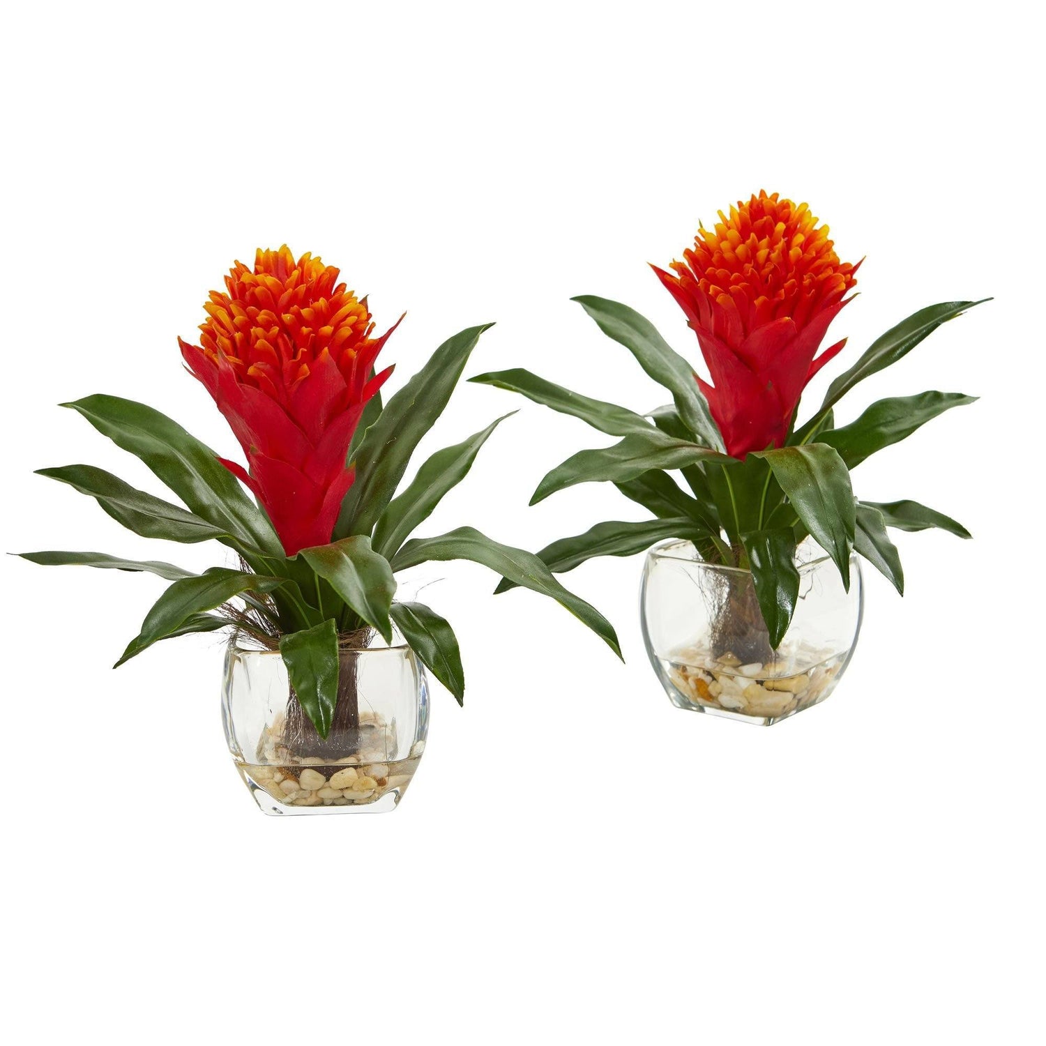 Bromeliad Artificial Plant in Vase (Set of 2)