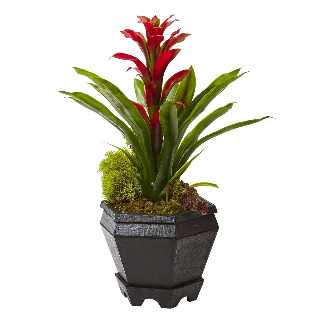 bromeliad plant pots Bromeliad in Black Hexagon Planter 6927 Nearly Natural