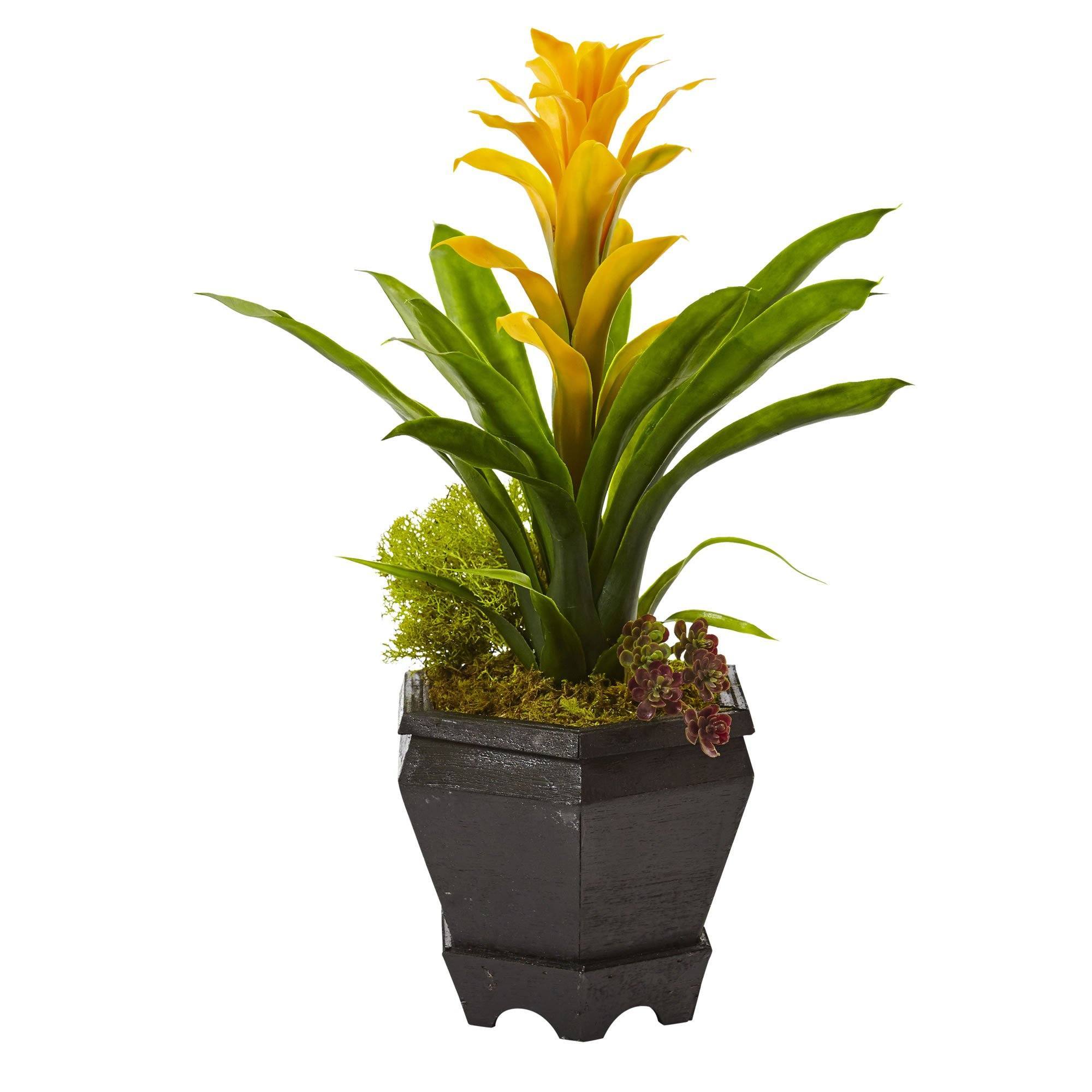 Bromeliad in Black Hexagon Planter 6927 Nearly Natural
