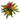 Bromeliad in White Swirl Vase