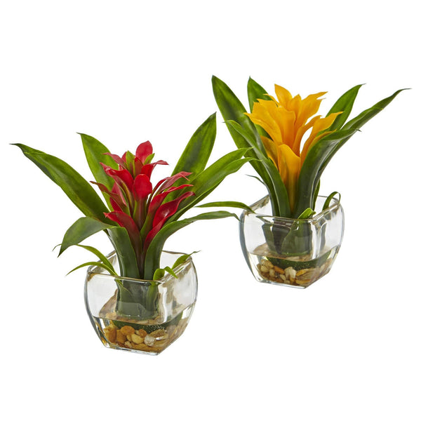 Bromeliad with Vase Arrangement (Set of 2)