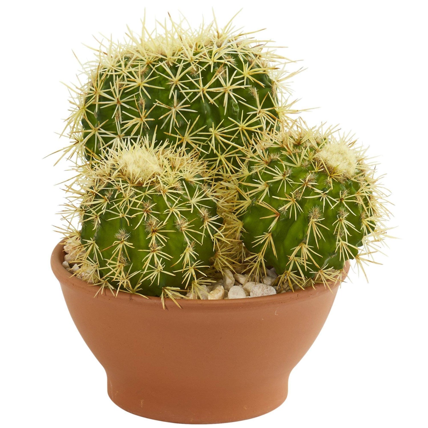 Cactus Garden Artificial Plant in Decorative Planter