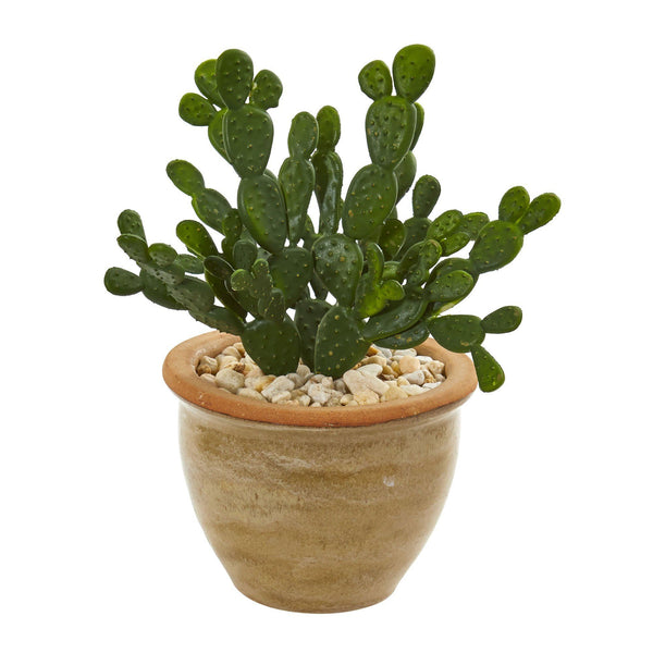 Cactus Succulent Artificial Plant in Ceramic Vase (Set of 2)