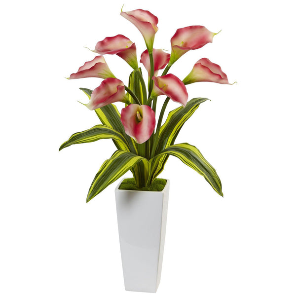 Callas with Tropical Leaves in Glossy Planter