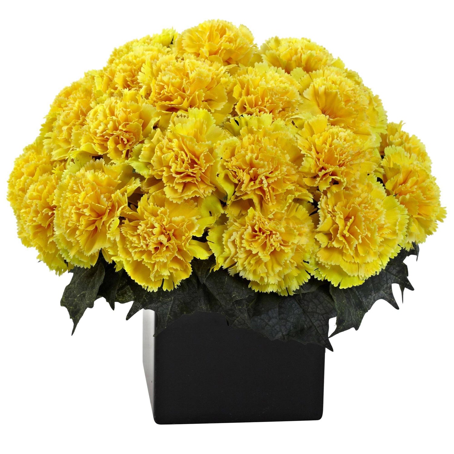 Carnation Arrangement w/Vase