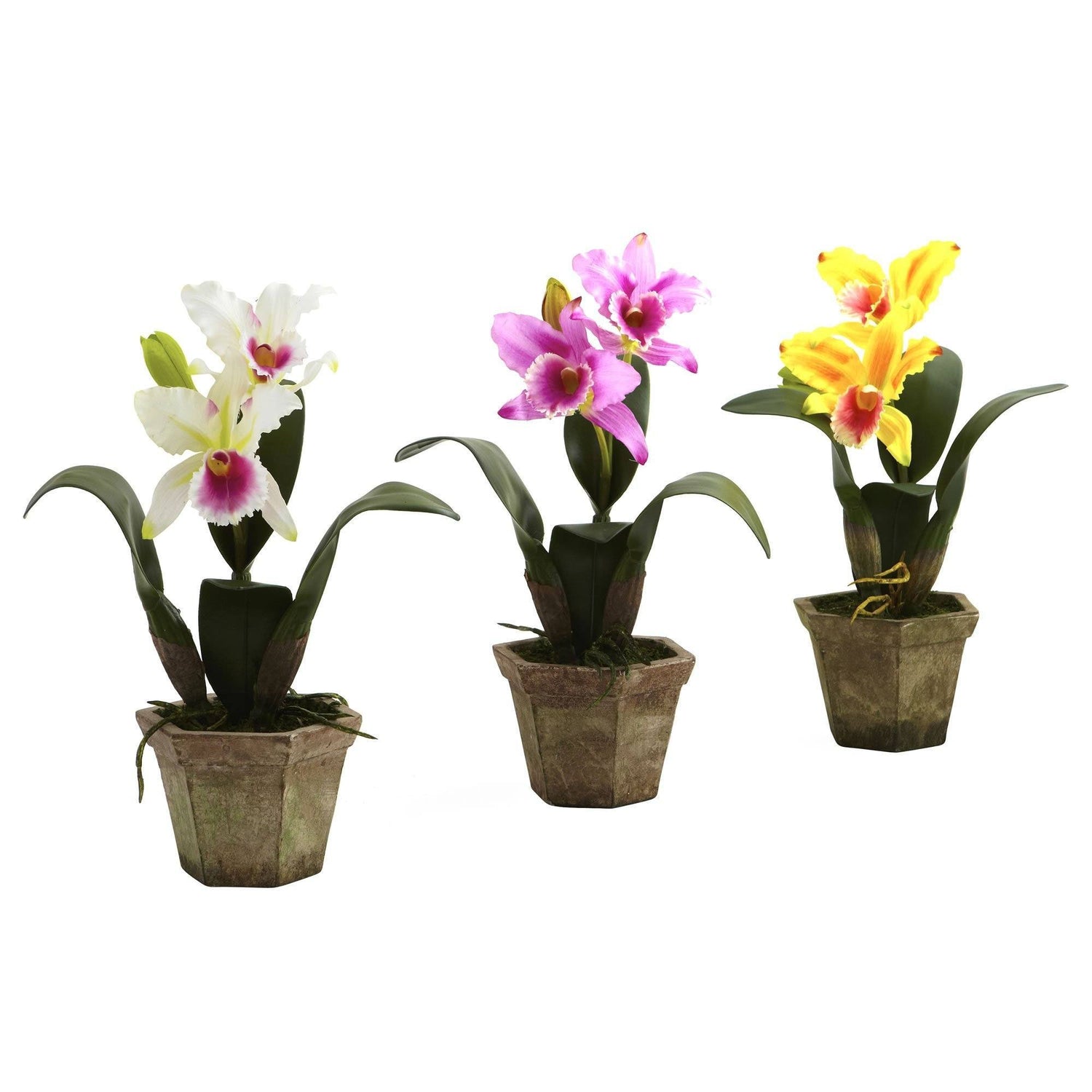 Cattelya Orchid w/Vase (Set of 3)