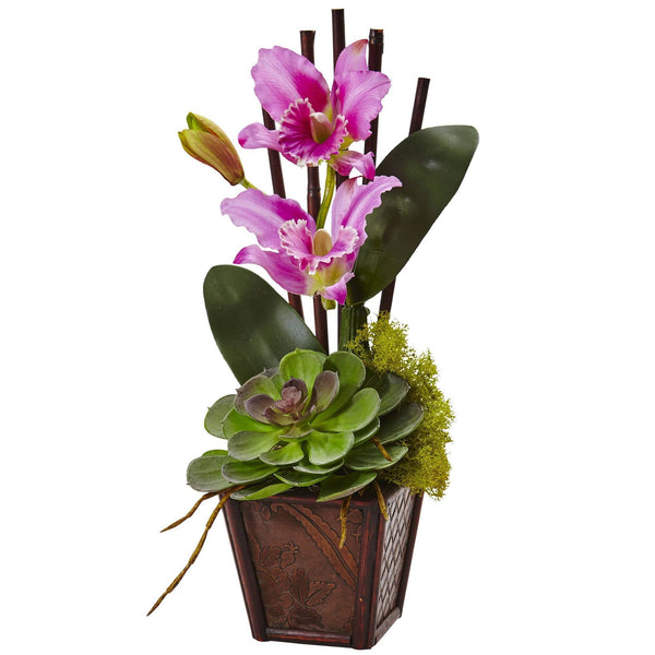 Cattleya Orchid and Succulent Arrangement (Set of 2)