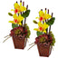 Cattleya Orchid and Succulent Arrangement (Set of 2)