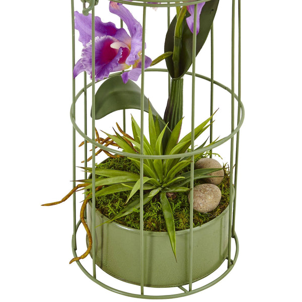 Cattleya Orchid Arrangement in Bird Cage