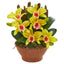 Cattleya Orchid Artificial Arrangement in Clay Vase