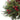 Cedar Berry Candelabrum