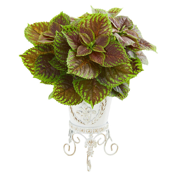 Artificial Coleus Plant in White Planter (Real Touch)