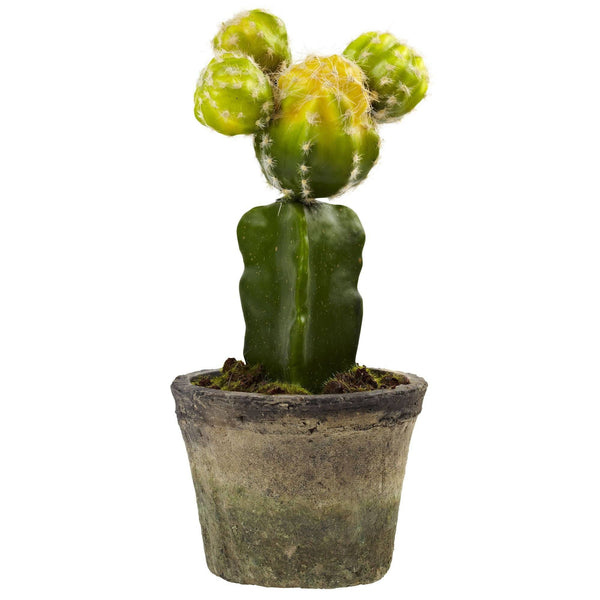 Colorful Cactus (Set of 3)