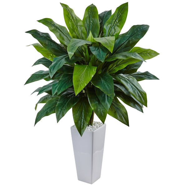 Cordyline in White Tower Planter