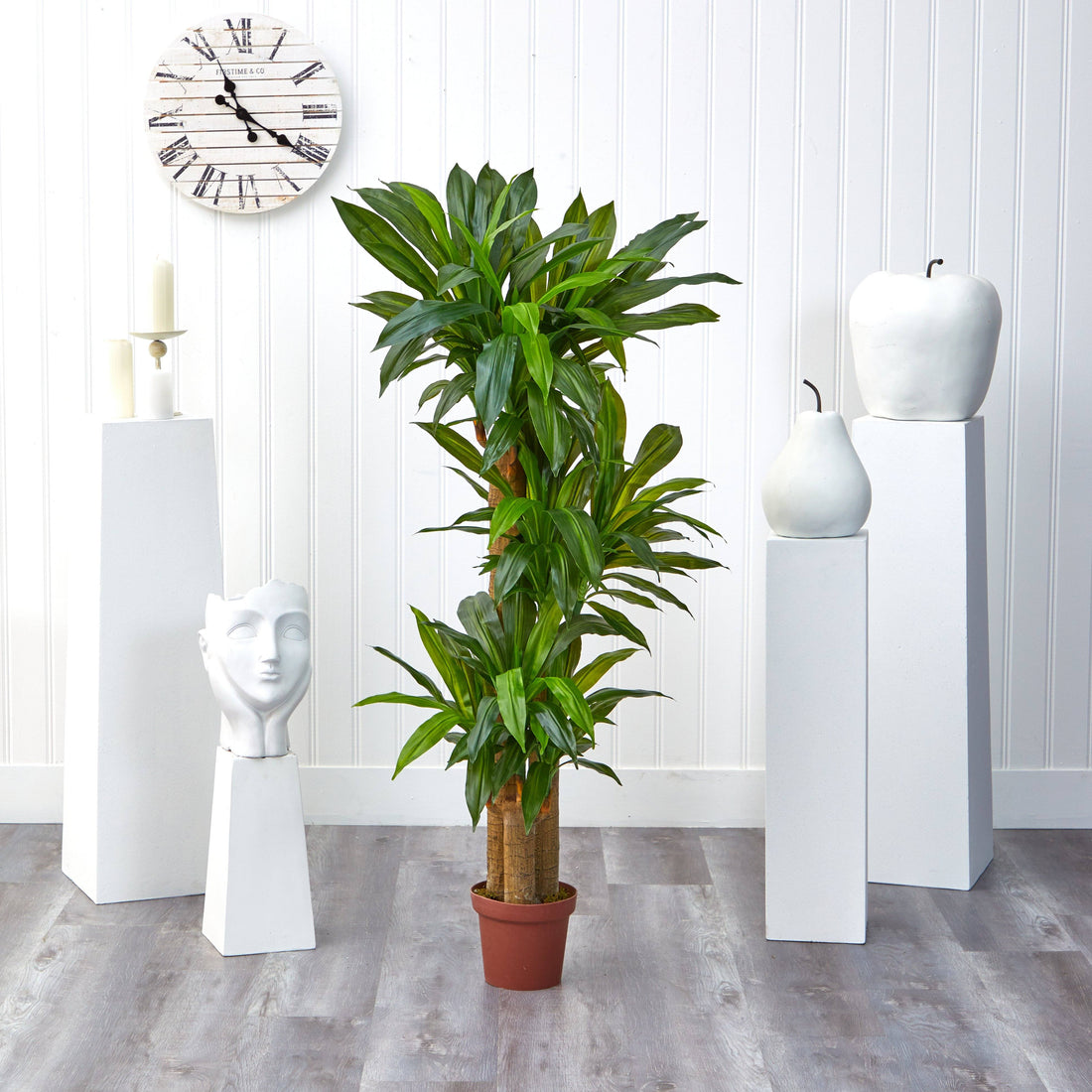dracaena silk Nearly Natural Corn Stalk Dranaena Silk Plant (Real Touch)