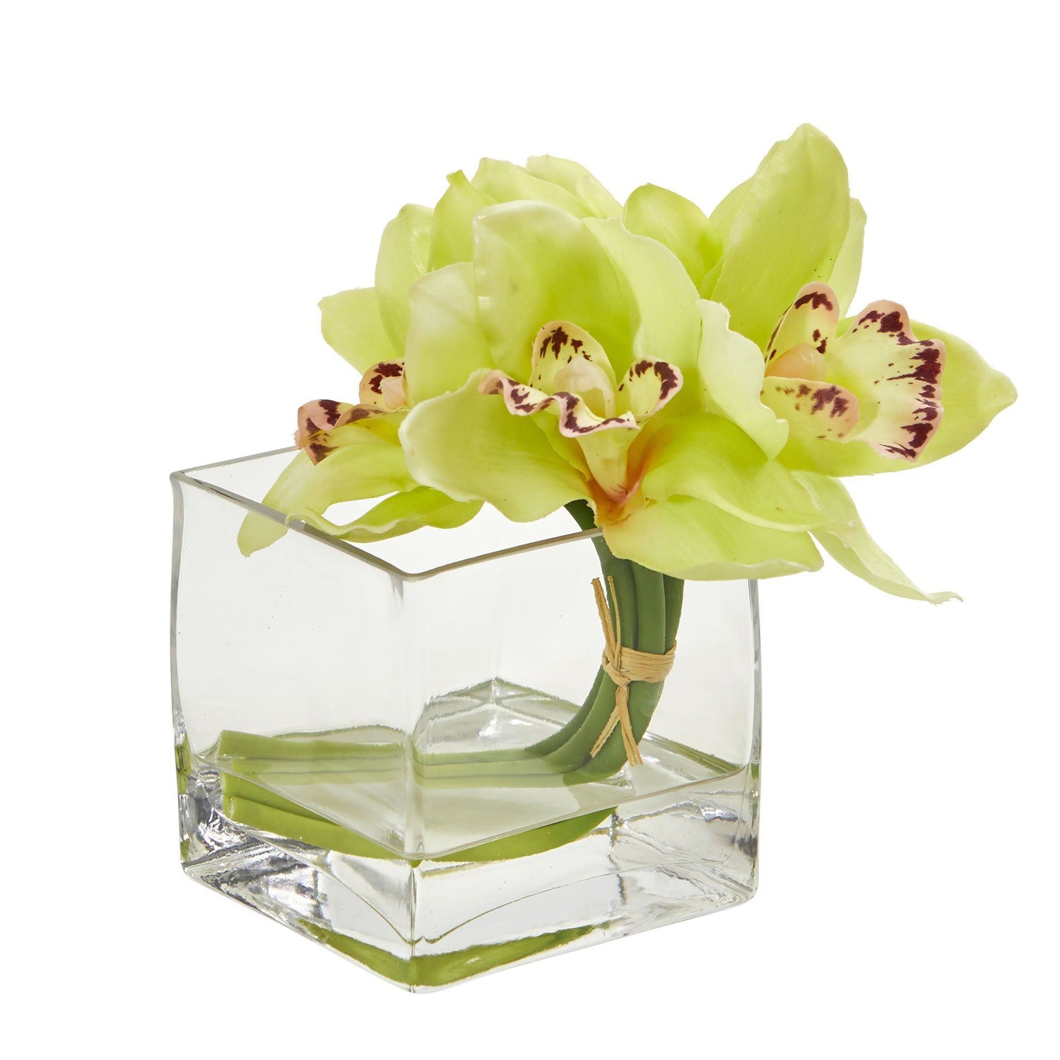 Cymbidium Orchid Artificial Arrangement in Glass Vase (Set of 2)