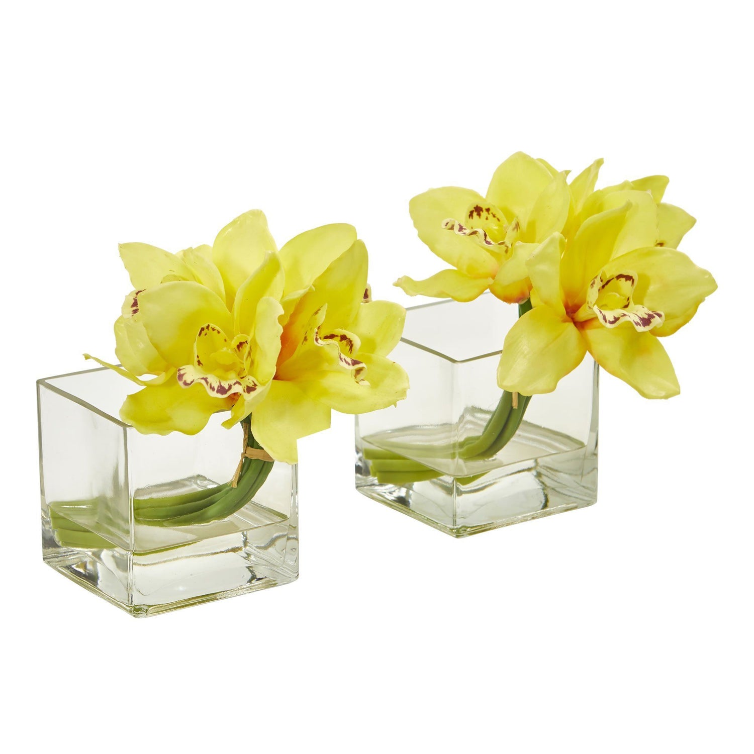 Cymbidium Orchid Artificial Arrangement in Glass Vase (Set of 2)
