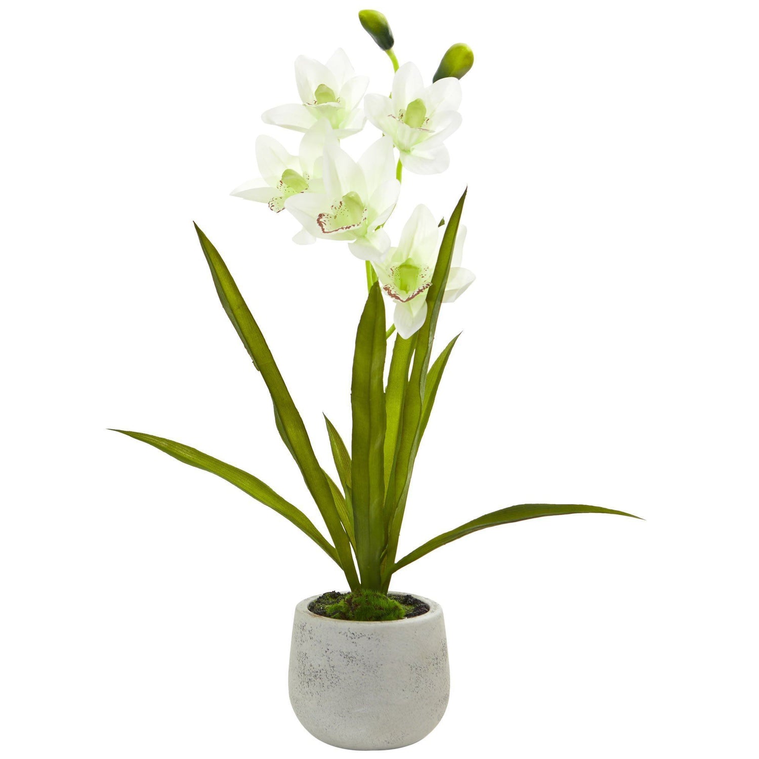 Cymbidium Orchid Artificial Arrangement in Vase