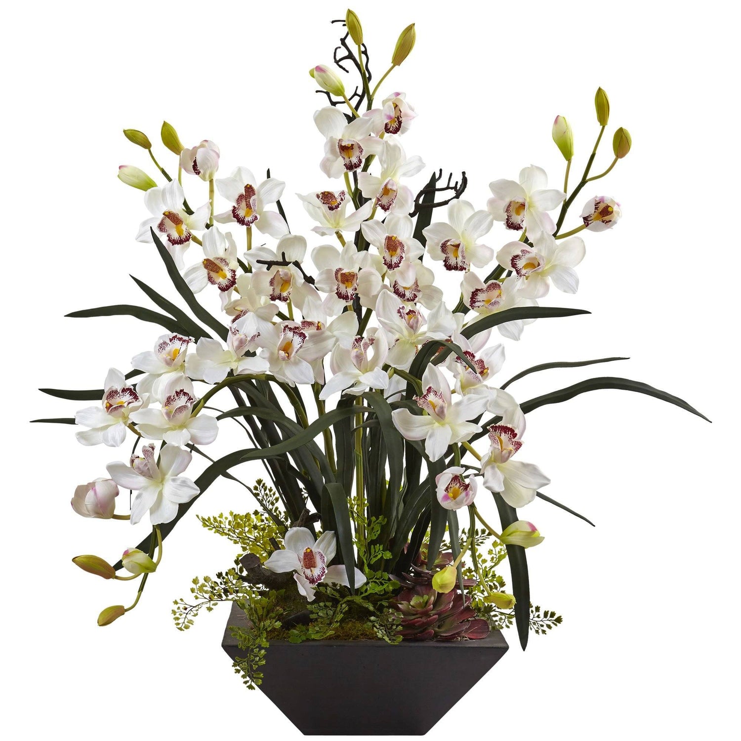 Cymbidium Orchid with Black Vase