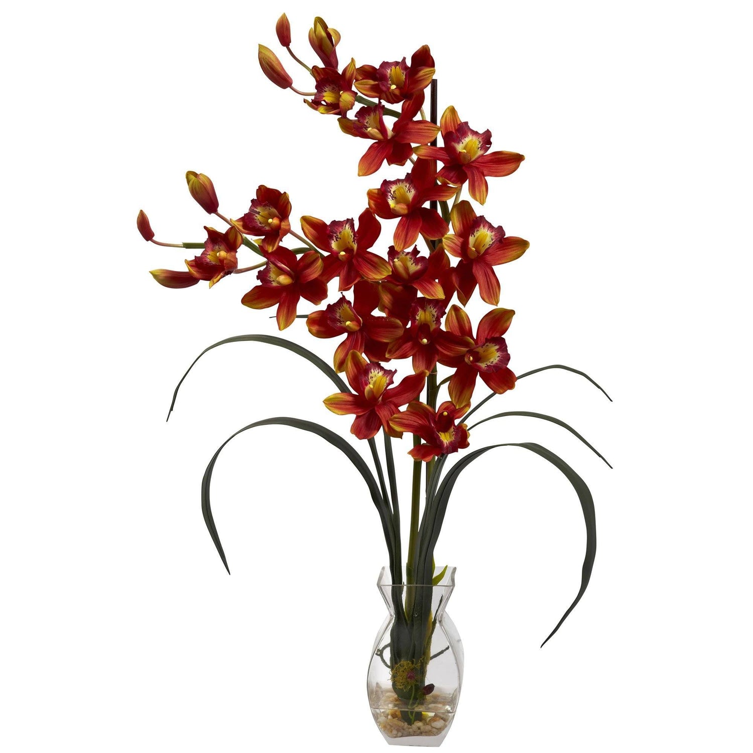 Cymbidium Orchid w/Vase Arrangement
